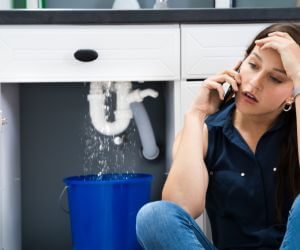 About Water Leak Detection Pros Golconda, NV
